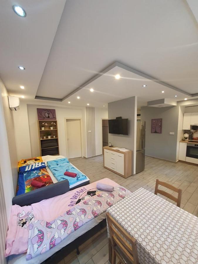Апартаменты Viola Apartman With Infra Sauna Сегед Экстерьер фото